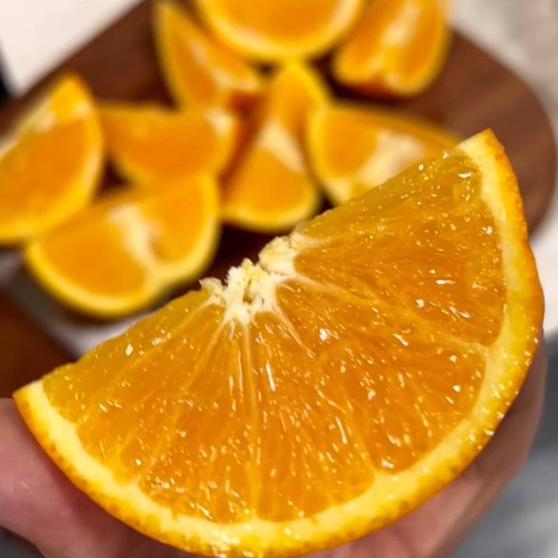 九月红脐橙宜昌果冻橙皮薄多汁产地直供品质保证可视频看货