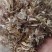 金乡精加工大蒜皮质量好价格低牛羊的**欢迎采购