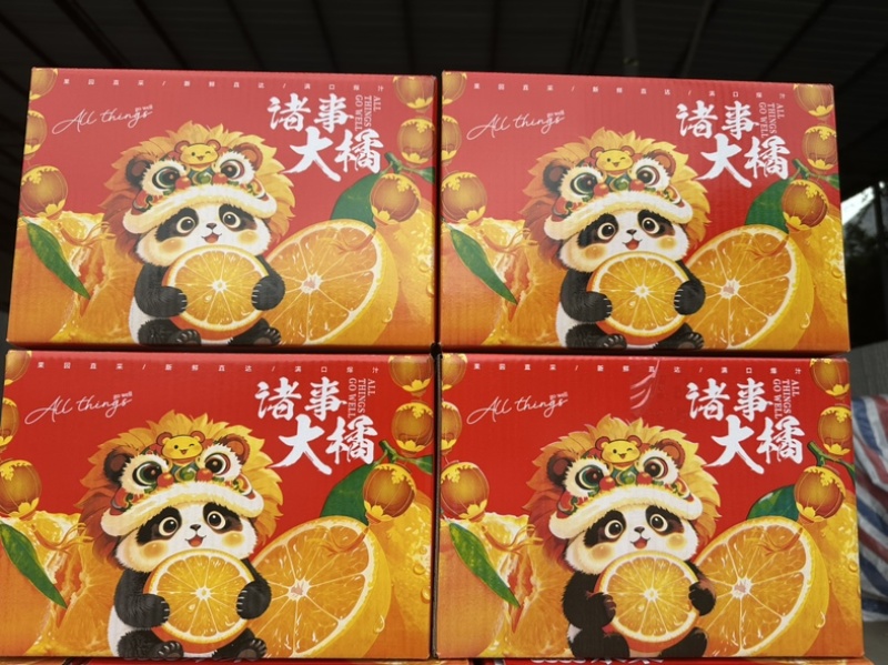 精品爱媛果冻橙一件代发