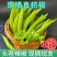 精品新鲜的大杭椒适合各大电商和超市市场质量好品质有保请联