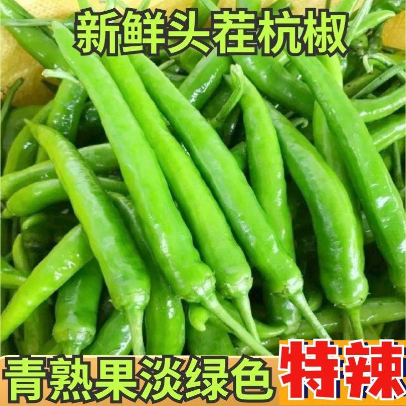 新鲜精品的大杭椒今日特价品质好质量有保障电商超市需要的联