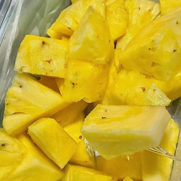 菠萝，凤梨，金子钻凤梨大量有货，量大价格从优