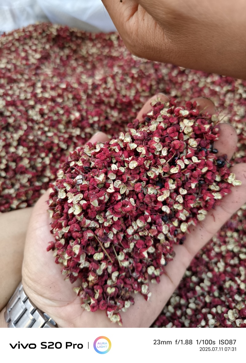 武都花椒产地直销红花椒量大从优品质保证供全国商超
