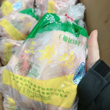 三黄鸡
