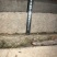 二手葡萄地水泥立柱，2.3米-2.5米大量有货，纯实心内
