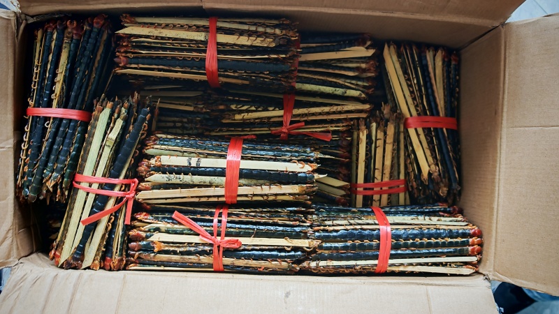蜈蚣，各种规格！无接条！一手货源！批发量大可优惠！