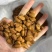 吉林红松子无空壳一手货源，品质保障支持视频看货欢迎