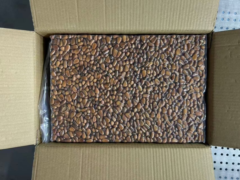 吉林红松子无空壳一手货源，品质保障支持视频看货欢迎