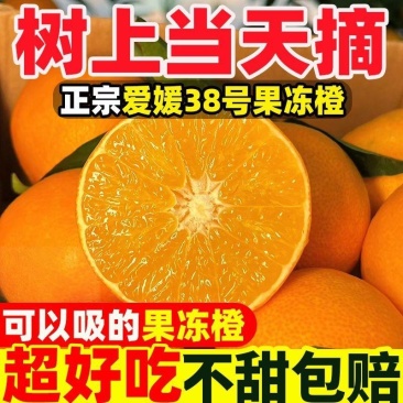 电商一件代发四川爱媛果冻橙全黄发货品质保证