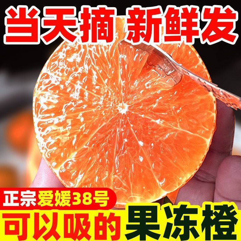 电商一件代发四川爱媛果冻橙全黄发货品质保证