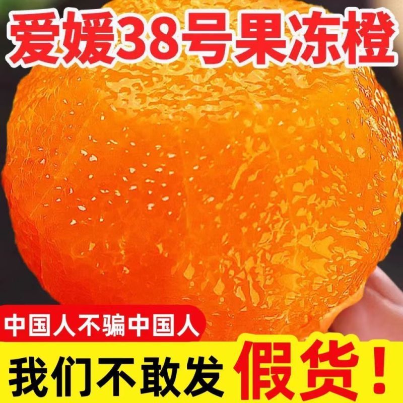 电商一件代发四川爱媛果冻橙全黄发货品质保证