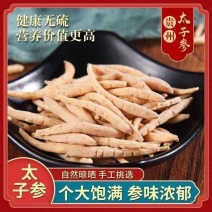 太子参正宗中药材贵州太子参批发零售货真价实