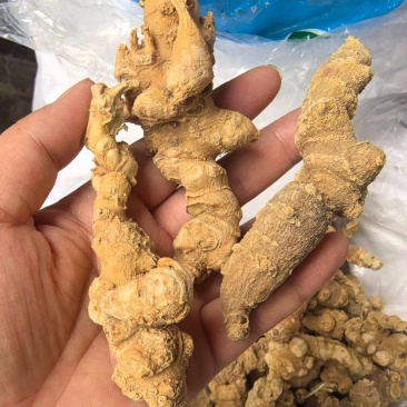 竹节参包检有不合格的便宜，电商可以的
