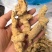 竹节参包检有不合格的便宜，电商可以的