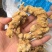 竹节参包检有不合格的便宜，电商可以的