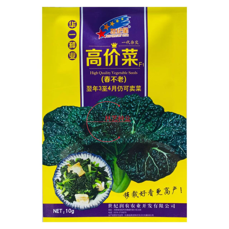 春不老高价菜种子耐寒耐抽苔乌塌菜