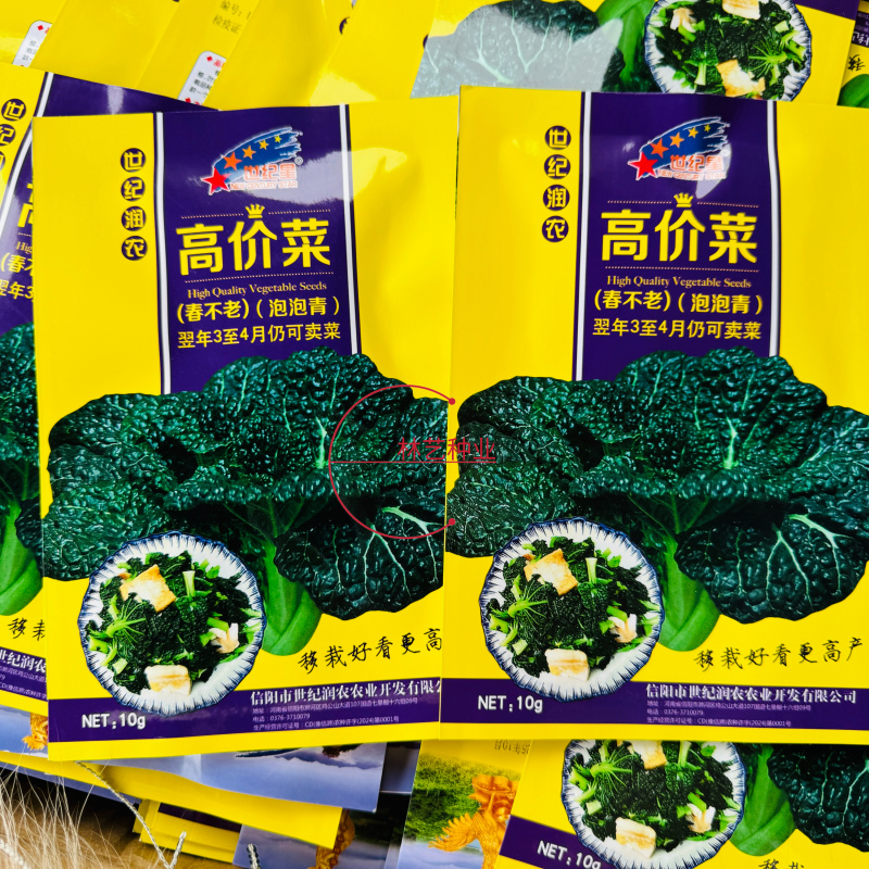 春不老高价菜种子耐寒耐抽苔乌塌菜