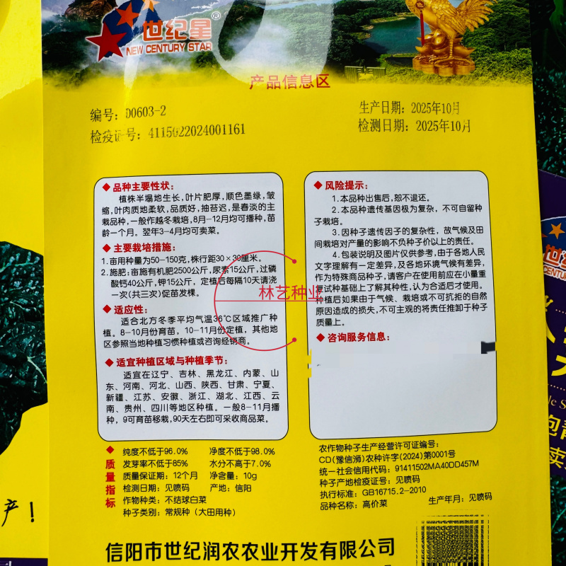 春不老高价菜种子耐寒耐抽苔乌塌菜