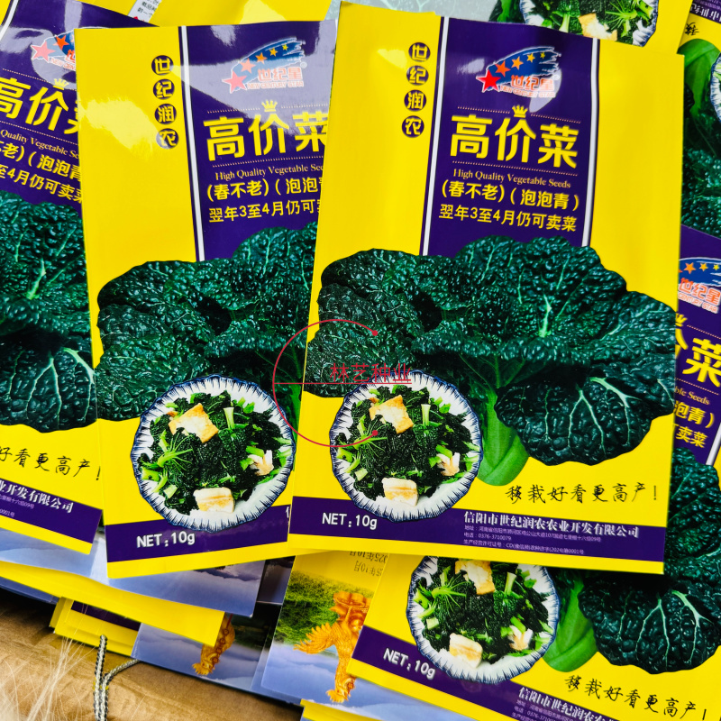 春不老高价菜种子耐寒耐抽苔乌塌菜