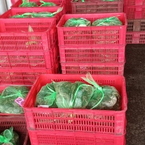 精品大闸蟹批发