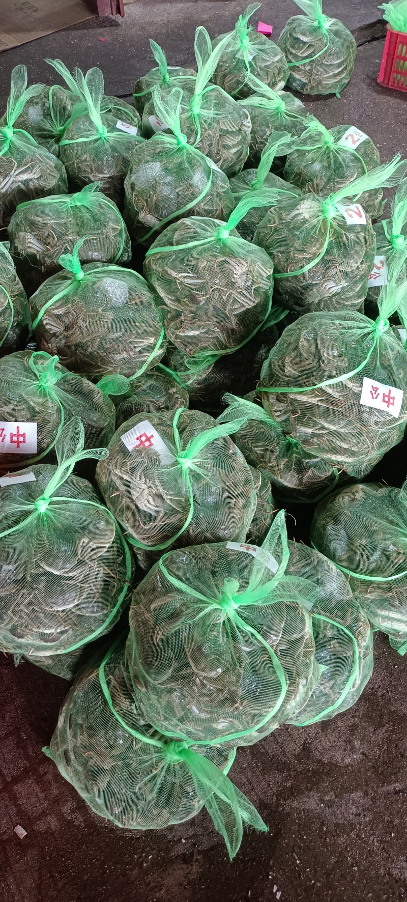 精品大闸蟹批发