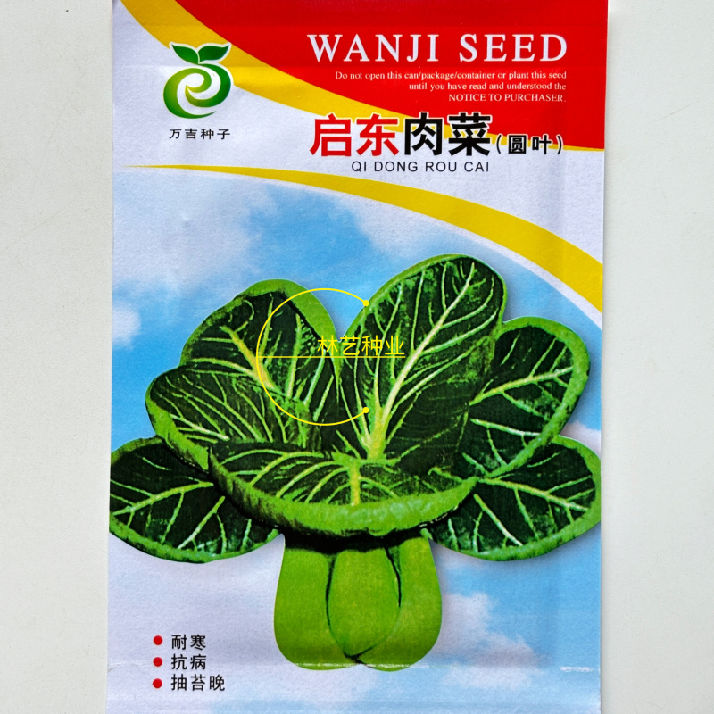 启东肉菜种子圆叶叶片厚口感糯美秋冬耐寒耐抽苔青菜种子
