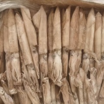 混合全籽笔管鱼，一手货源