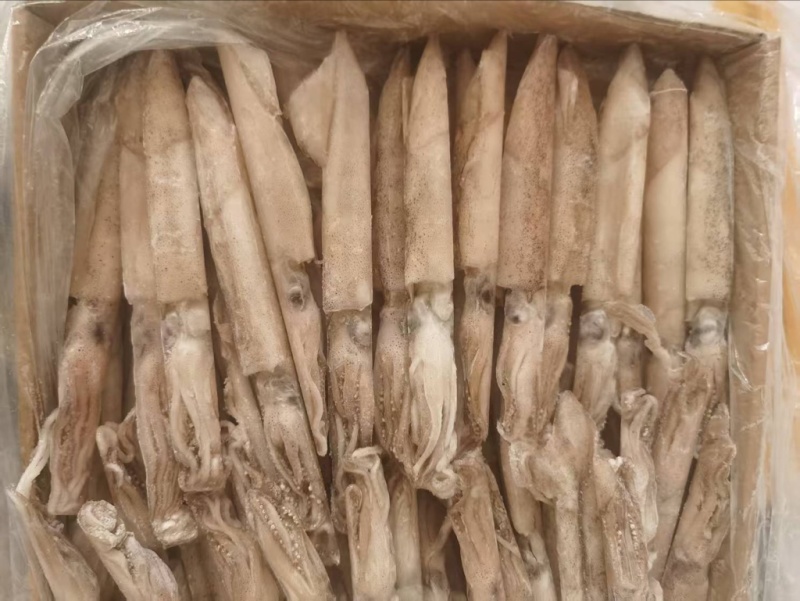混合全籽笔管鱼，一手货源