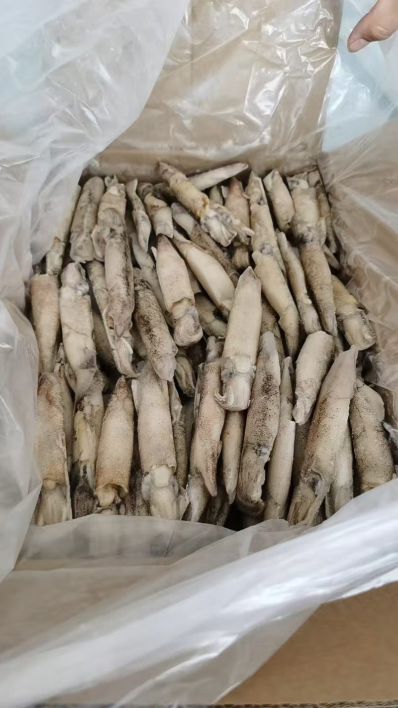 混合全籽笔管鱼，一手货源