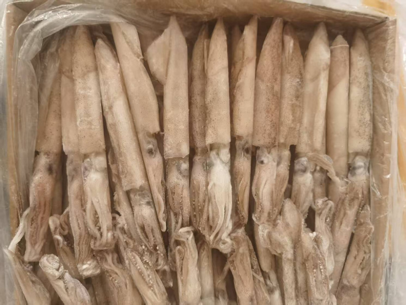 混合全籽笔管鱼，一手货源