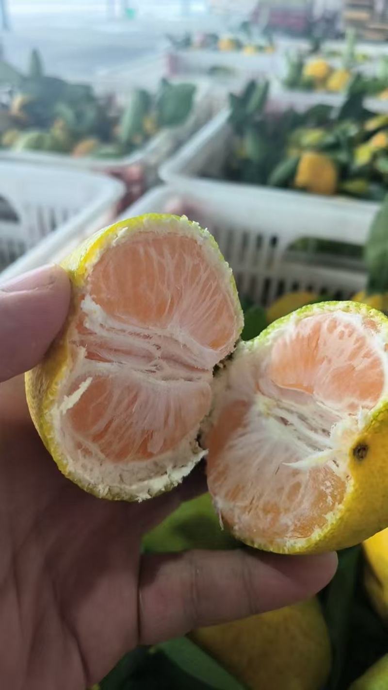 蜜橘电商团购一件代发大量有货