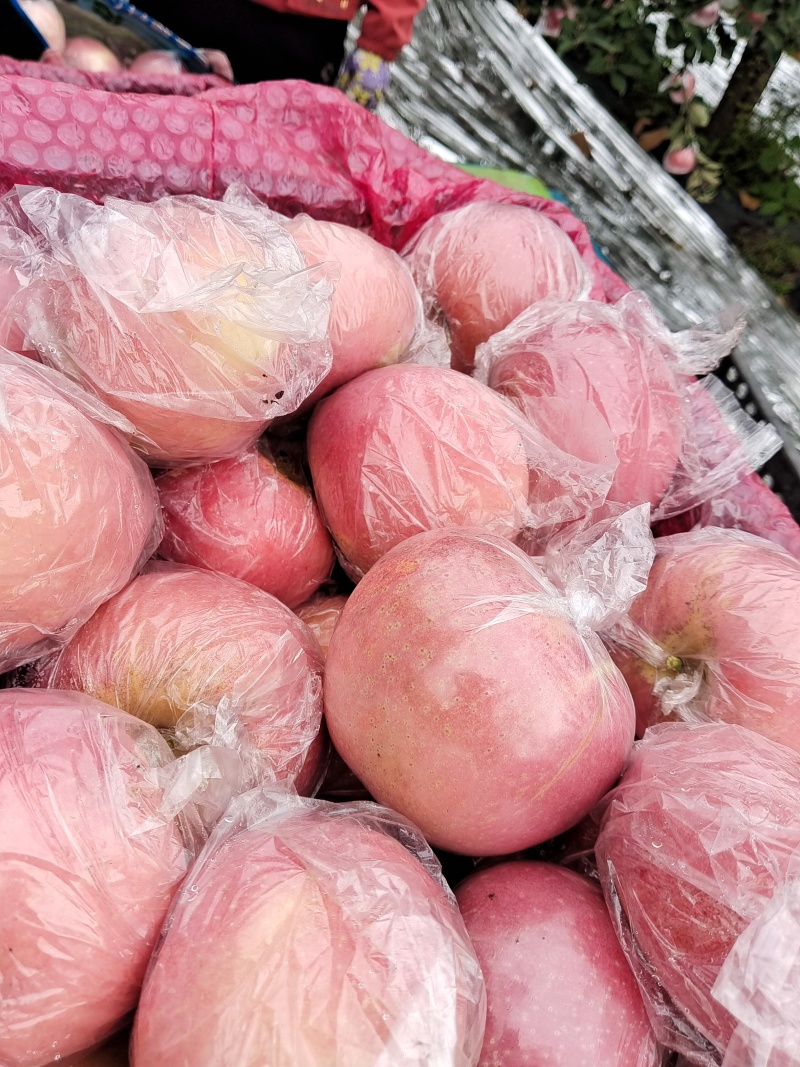纸加膜富士