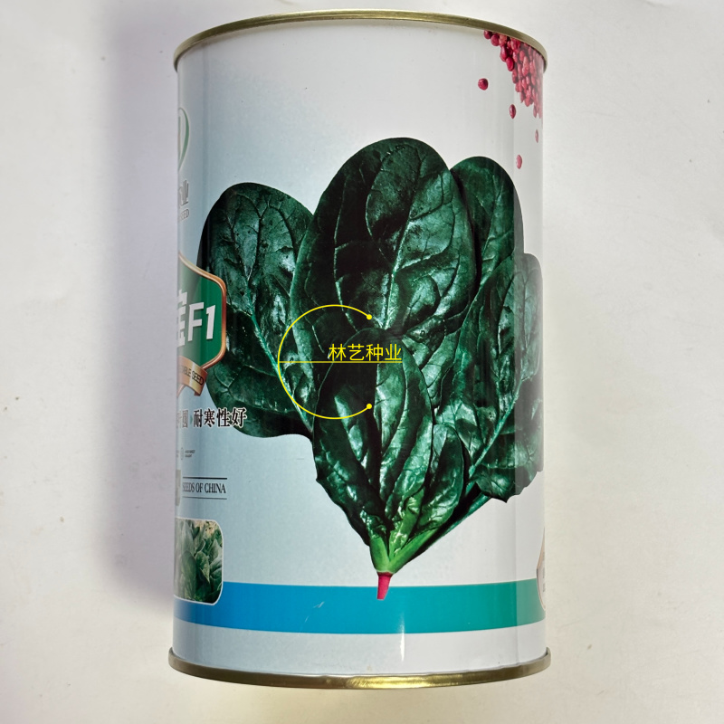 华洲农业圆宝F1菠菜种子精选种叶片肥厚黑亮叶圆耐寒性好