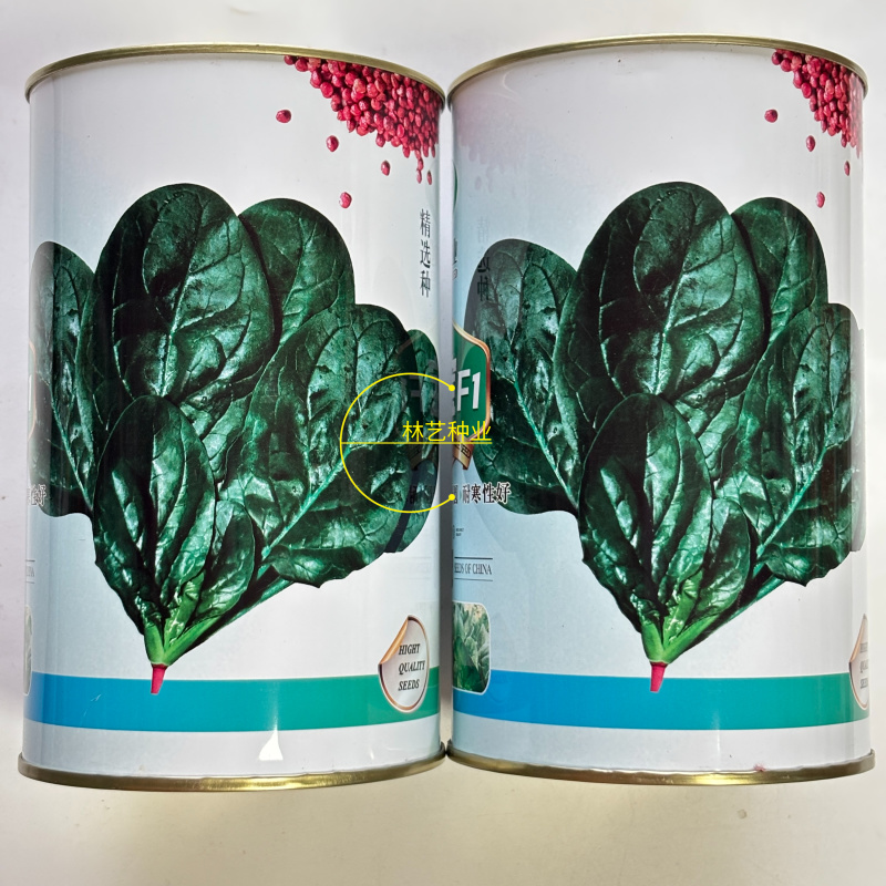 华洲农业圆宝F1菠菜种子精选种叶片肥厚黑亮叶圆耐寒性好