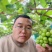 阳光玫瑰