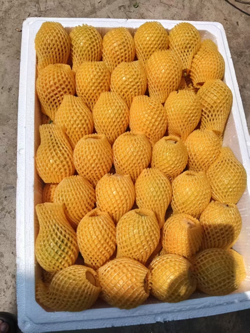 热情果产地批发供应全国几小时到货