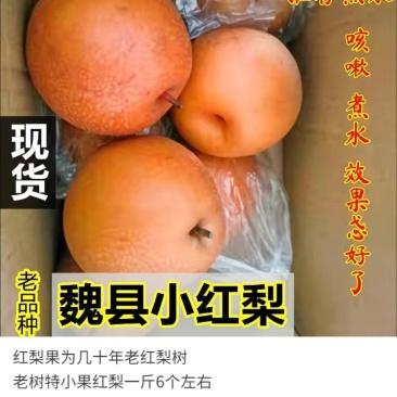 魏县红梨