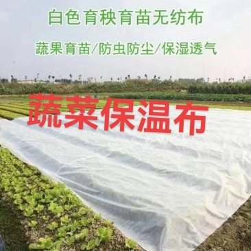 单层无纺布蔬菜保温布，蔬菜防寒布，尺寸可以定做