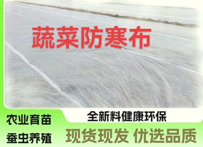 单层无纺布蔬菜保温布，蔬菜防寒布，尺寸可以定做