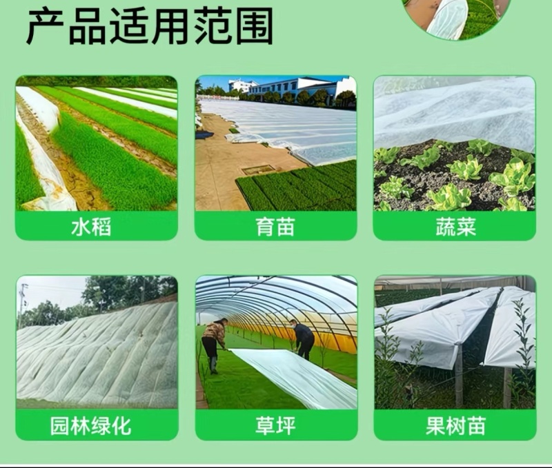 单层无纺布蔬菜保温布，蔬菜防寒布，尺寸可以定做