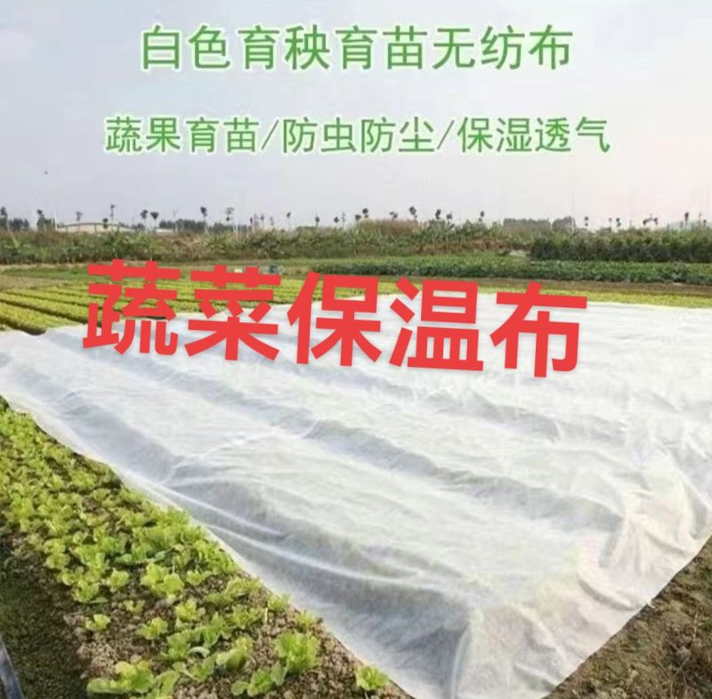 单层无纺布蔬菜保温布，蔬菜防寒布，尺寸可以定做