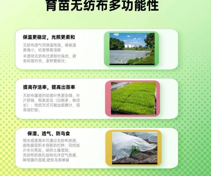 单层无纺布蔬菜保温布，蔬菜防寒布，尺寸可以定做