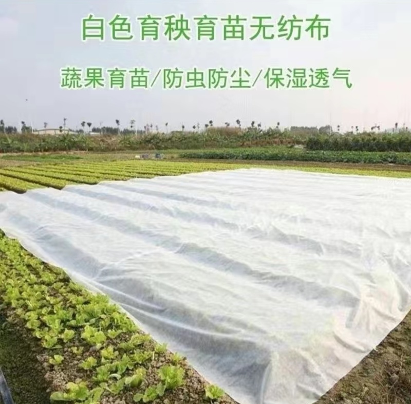 单层无纺布蔬菜保温布，蔬菜防寒布，尺寸可以定做