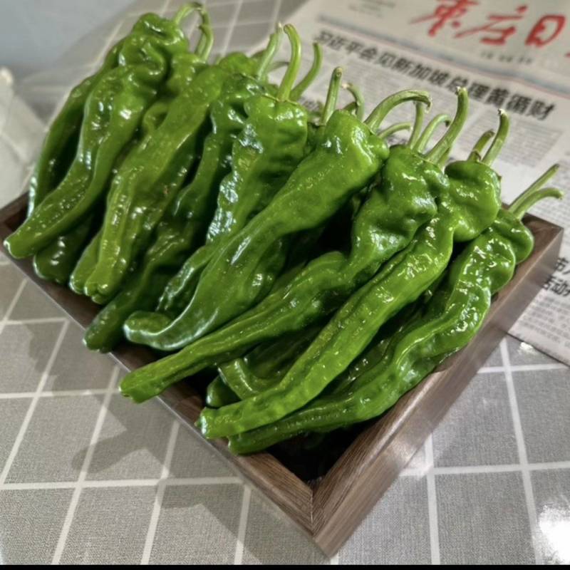 邹皮辣椒精品产地一手货源全国发货量大价优欢迎随时联系