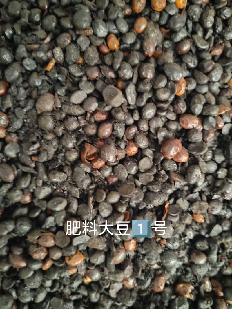 肥料大豆，碳化大豆，种地，种树，种肥好东西