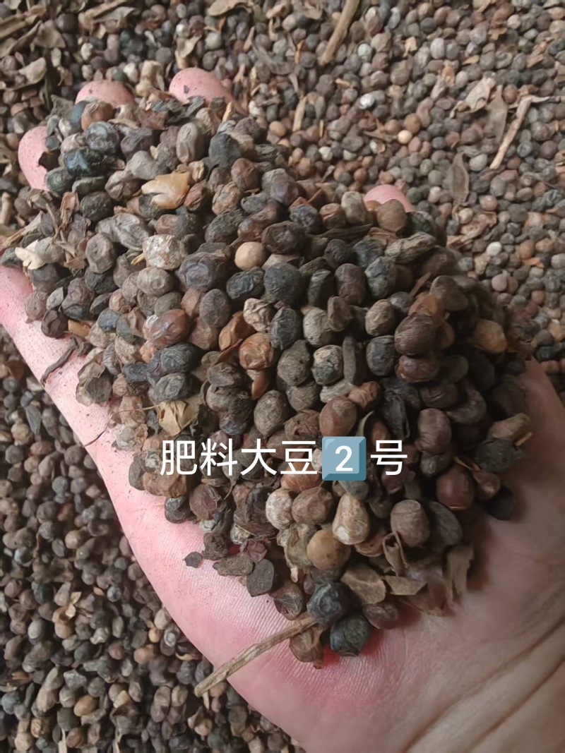 肥料大豆，碳化大豆，种地，种树，种肥好东西