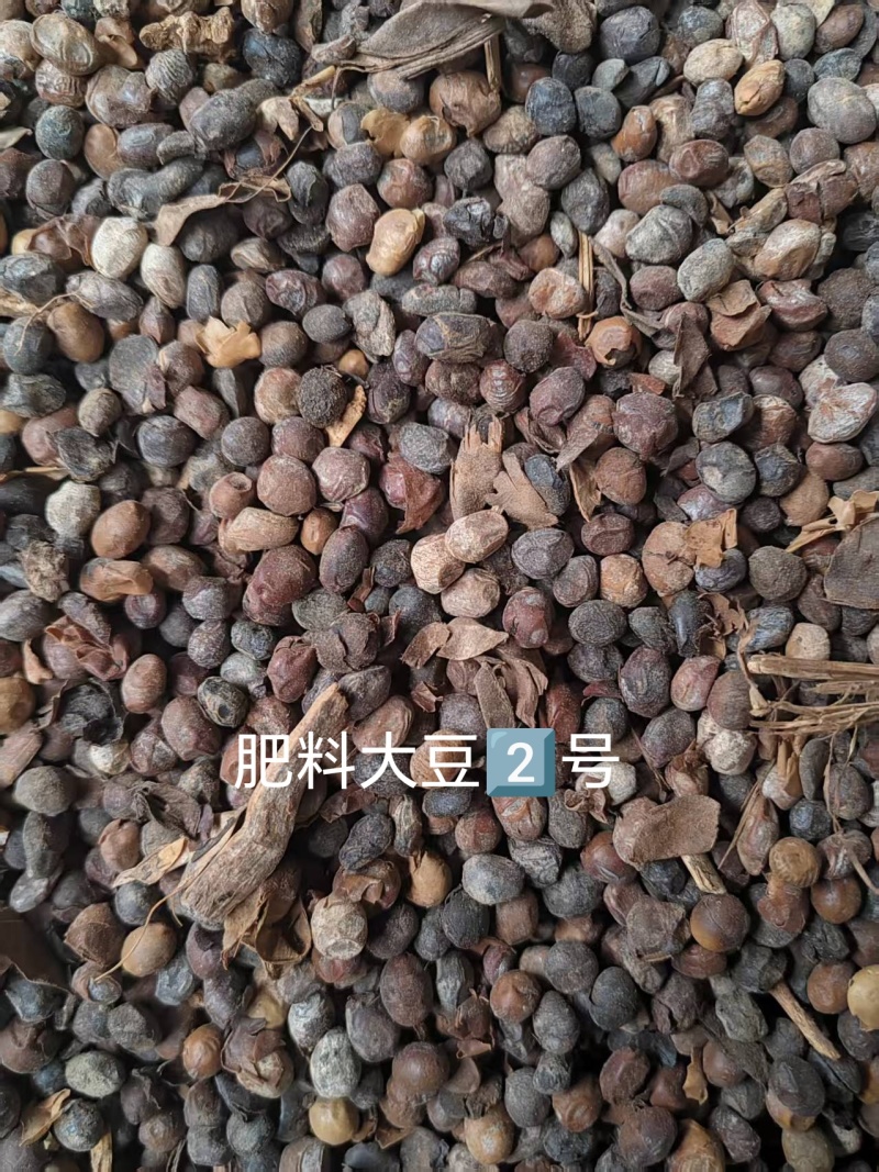 肥料大豆，碳化大豆，种地，种树，种肥好东西