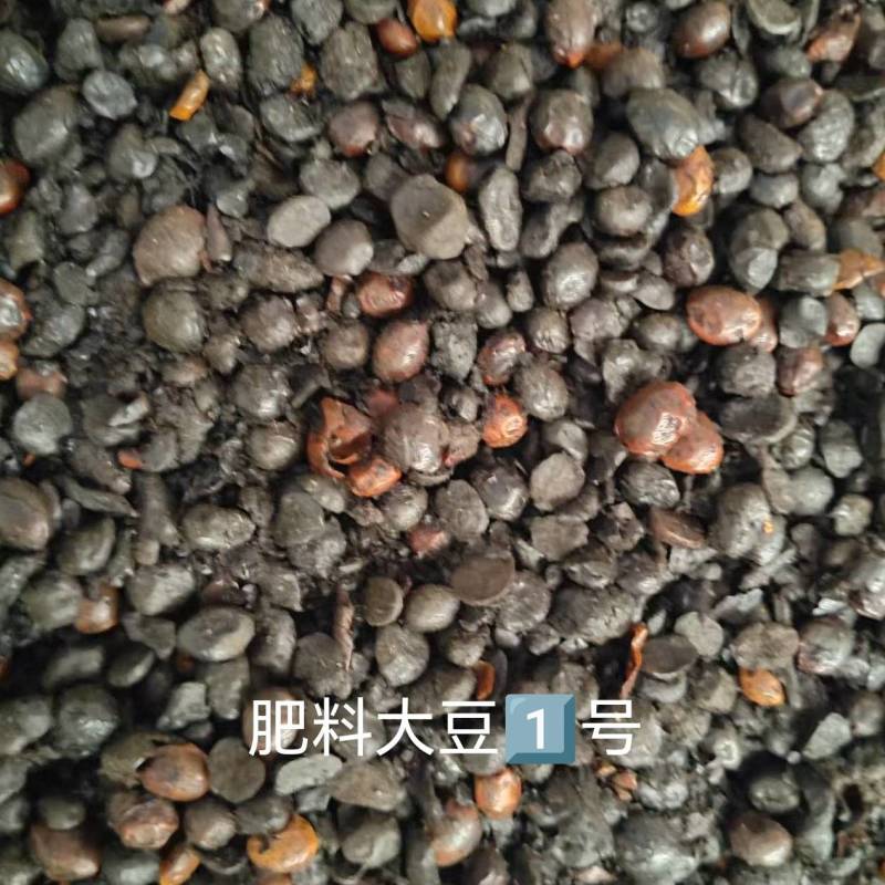 肥料大豆，碳化大豆，种地，种树，种肥好东西