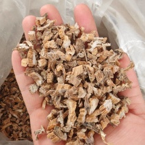 小粒百部