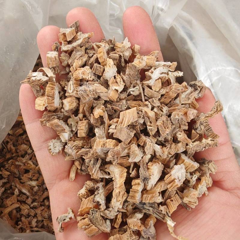 小粒百部